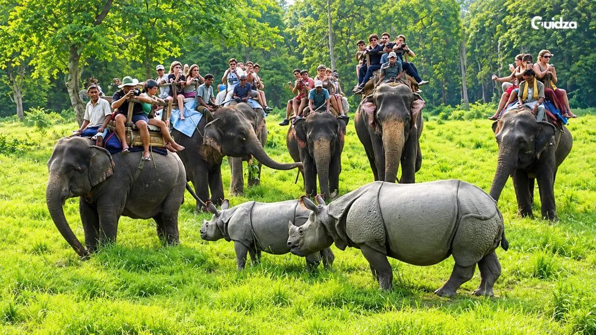 Chitwan National Park